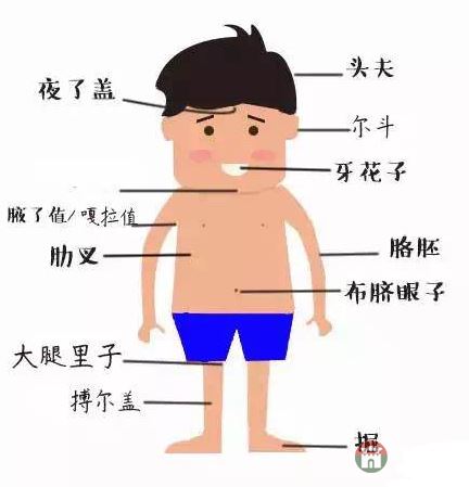 只有莒县人才能看懂的人体构造图，好深奥好羞涩