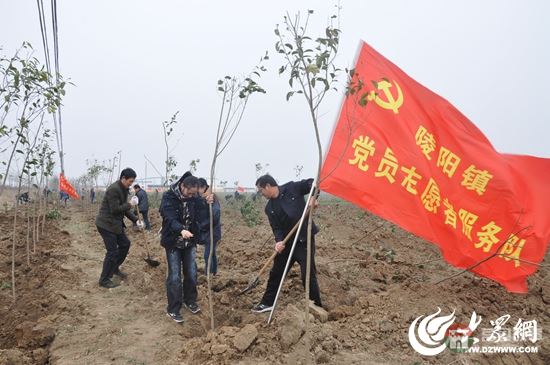 陵阳镇党员志愿者在植树