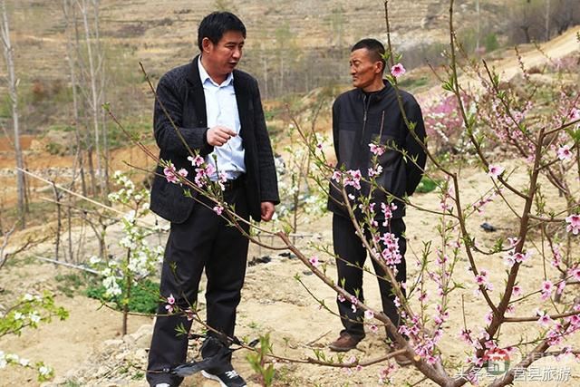 为了那份坚定的“第一承诺”——记莒县旅游局派出第一书记张乃献