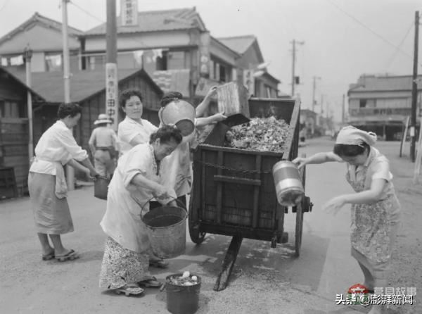 “逼疯”上海人的垃圾分类背后，藏着中国人不知道的残忍真相