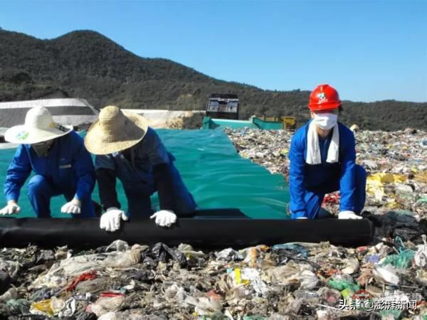 “逼疯”上海人的垃圾分类背后，藏着中国人不知道的残忍真相